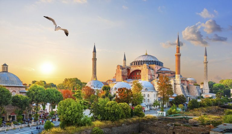 7c5914f6-d01e-4871-83a9-d1c982f846ed