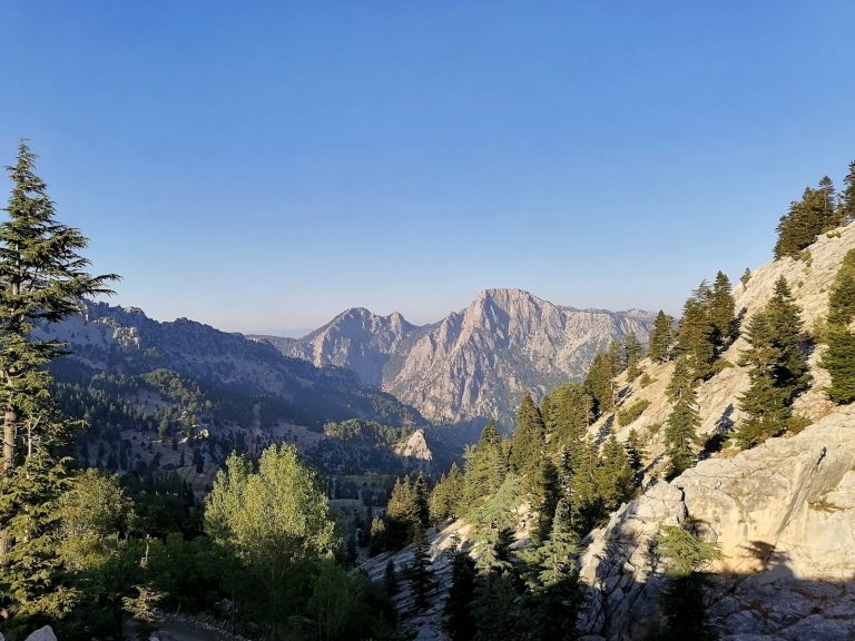 green trees on mountain under blue sky during daytime